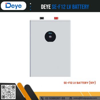 แบตเตอรี่ DEYE รุ่น SE-F12 LV Battery 