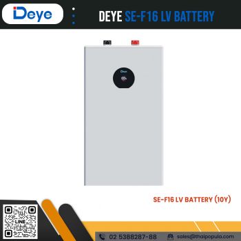 แบตเตอรี่ DEYE รุ่น SE-F16 LV Battery