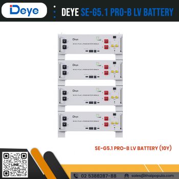 แบตเตอรี่ Deye SE-G5.1Pro-B